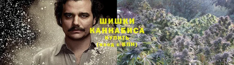 где купить   Лобня  Конопля LSD WEED 